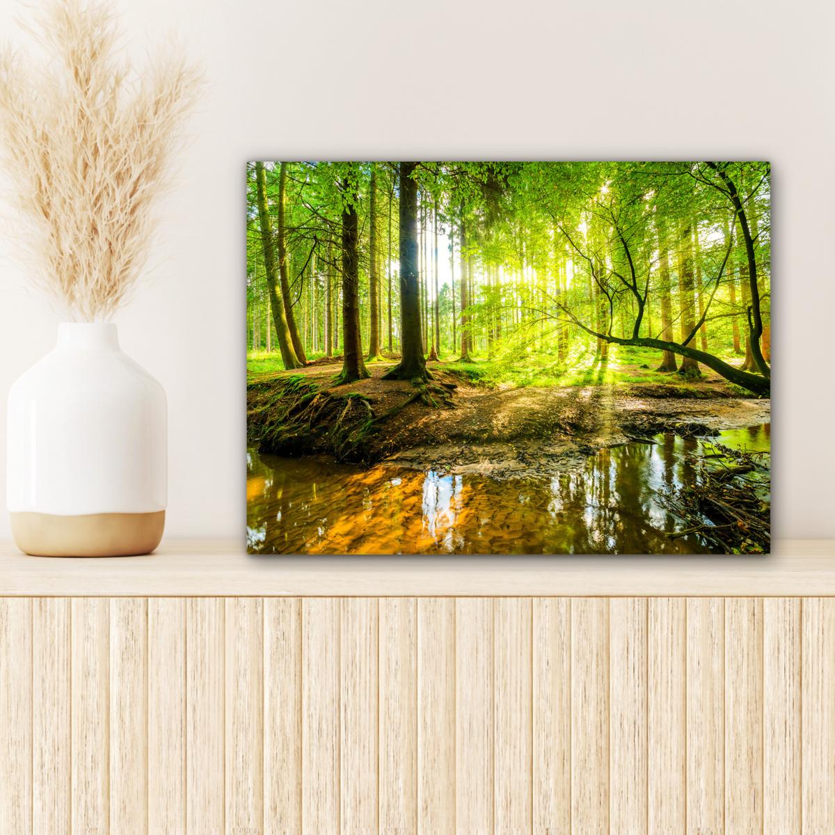 LEINWANDBILD Wald - Landschaft - Wasser - Bäume - Sonne - Grün - Natur Wandbild 40x30 cm - Grün, Textil (40/30cm) - MuchoWow