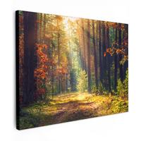 LEINWANDBILD Wald - Herbst - Bäume Wandbild 40x30 cm - Dunkelgrün, Textil (40/30cm) - MuchoWow