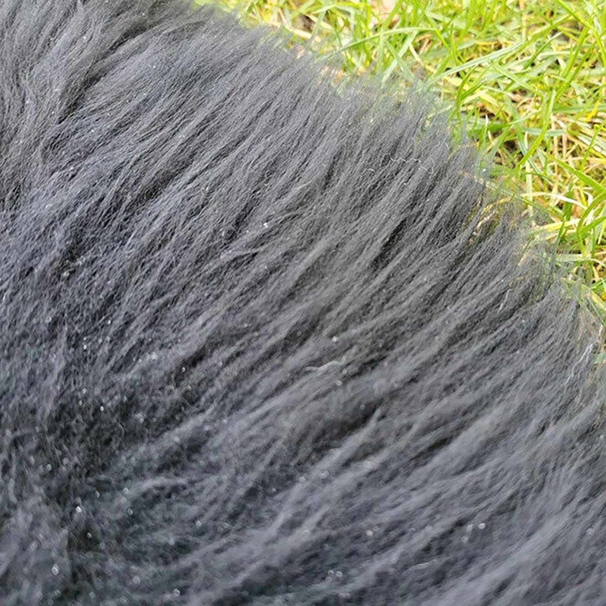 LAMMFELL Öko bunt gefärbt weich Fell Teppich Anthrazit ca. 110 cm - Schwarz, Fell (60/110cm) - Provellus
