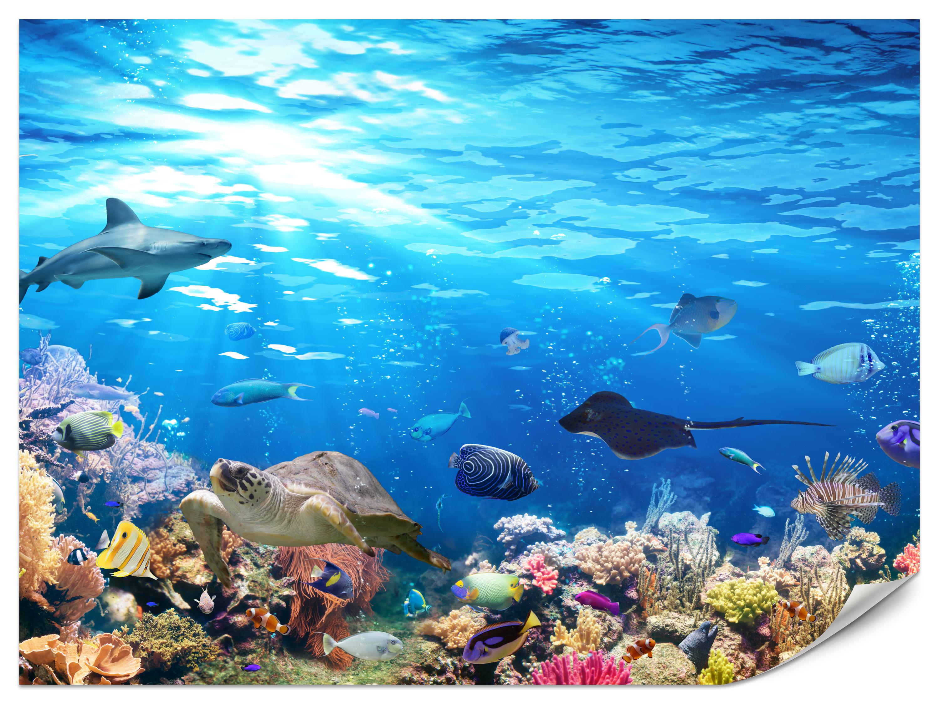 FOTOTAPETE für Badezimmer Korallenriff Schildkröte Hai Fisch 400x280 - Blau/Gelb, Papier (400/280cm) - Muralo