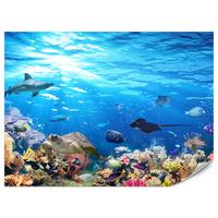 FOTOTAPETE für Badezimmer Korallenriff Schildkröte Hai Fisch 400x280 - Blau/Gelb, Papier (400/280cm) - Muralo