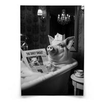 POSTER für Badezimmer WC SCHWEIN in Badewanne Zeitung Abstraktion 50x70cm - Schwarz/Weiß, Papier (50/70/1cm) - Muralo