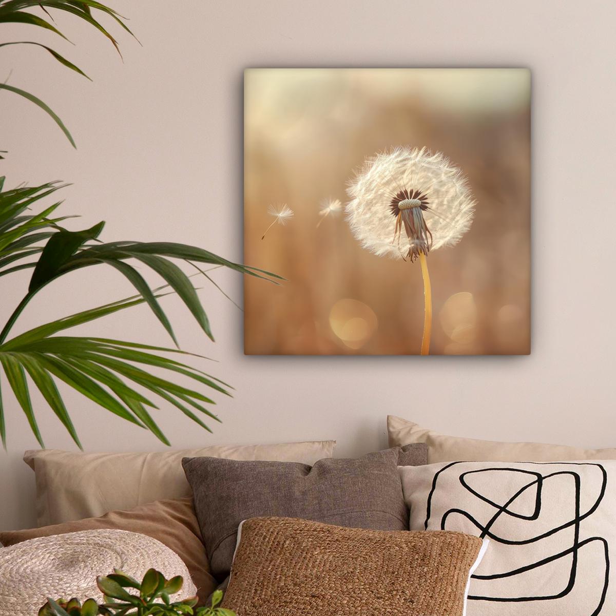 LEINWANDBILD Löwenzahn - Beige - Natur - Blume Wandbild Wohnzimmer 50x50 cm - Hellbraun, Textil (50/50cm) - MuchoWow