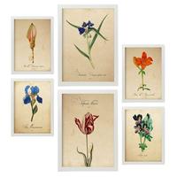 POSTER Set Mit 6 Blaue Blumen Vollfarbige Natur Und Botanikdrucke Mit Blumenmotiven Im Vintage Papier Stil Innenarchitektur A3 & A4 Weißer Rahmen - Weiß, Papier (29/3cm) - Nacnic