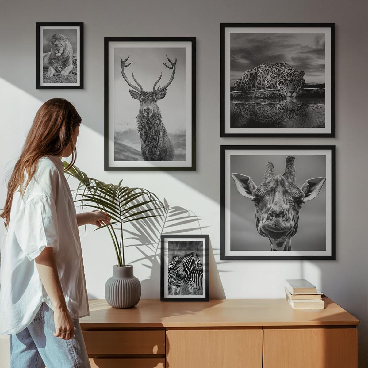BILDER SET 5er Set - 50x50 cm & 20x30 cm & 40x60 cm Schwarzer Rahmen - Wildtiere Löwe Jaguar Giraffe Zebras - Schwarz, Kunststoff (40/60cm) - TULUP