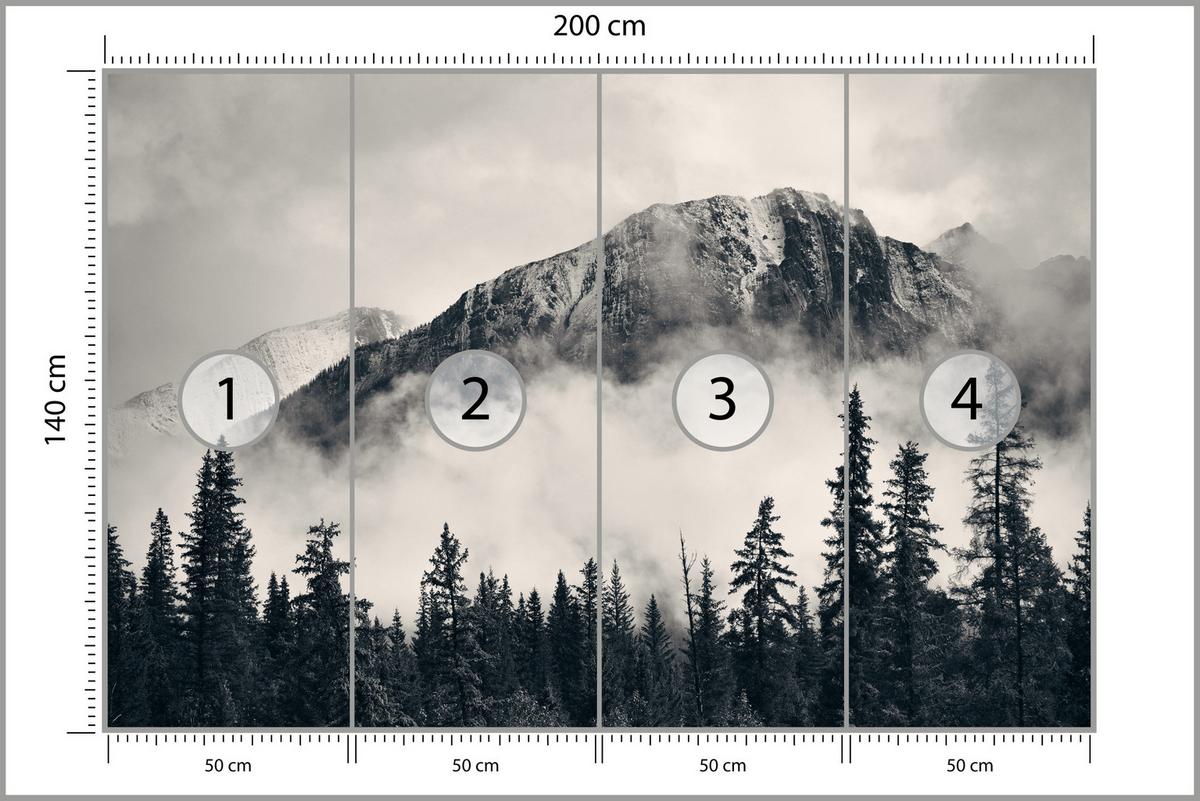 FOTOTAPETE für Wohnzimmer Nadelwald im Nebel im Hintergrund Berge 200x140 - Beige/Schwarz, Papier (200/140cm) - Muralo