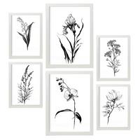 POSTER Set Mit 6 Zarte Blumen Natur Und Botanikdrucke Mit Blumenmotiven In Klassischem Schwarz Und Weiß Innenarchitektur A3 & A4 Weißer Rahmen - Weiß, Papier (29/3cm) - Nacnic