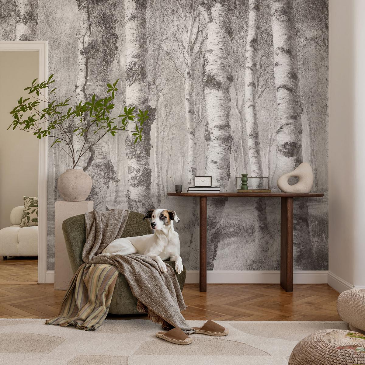 FOTOTAPETE 152x104 cm - Birkenwald - Schwarz, Textil (152/104cm) - Wallfluent