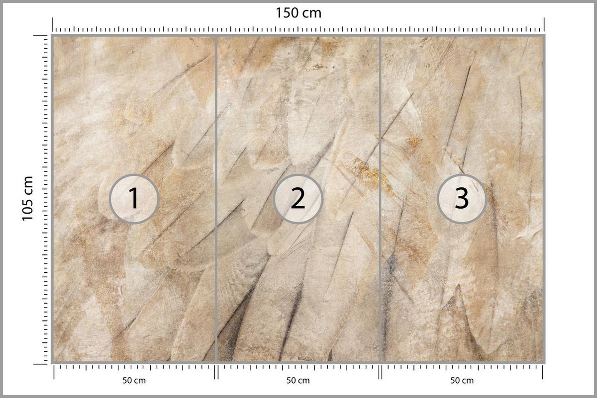 FOTOTAPETE Vogelflügel Beton Retro Stil 150x105 - Beige/Orange, Papier (150/105cm) - Muralo
