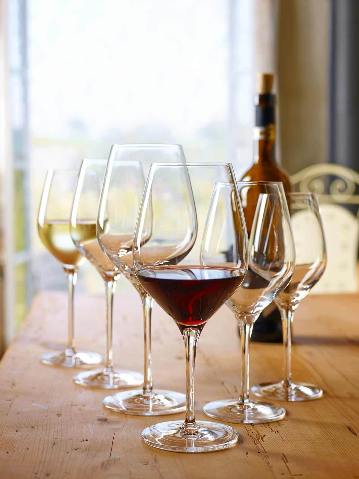 VERKOSTUNGSGLÄSER Exquisit transparent 270 ml 6er Set - Transparent, Glas (0.27L) - Stölzle Lausitz