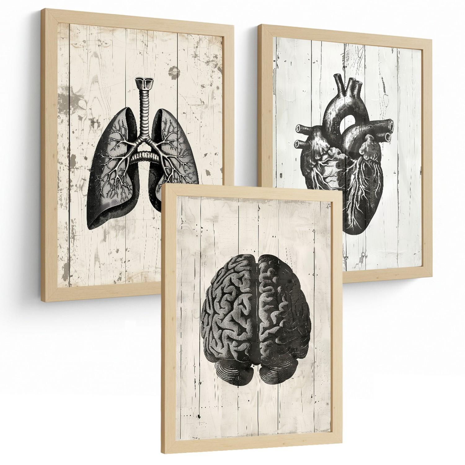 POSTER Set aus 3 Anatomie Mensch Drucke und mit Gehirn Herz Lungen Luftröhre Bronchien Industrielles Schwarz Weiß Design Größe Leichter Holzrahmen A4 - Beige, Papier (21/29.7/3cm) - Nacnic