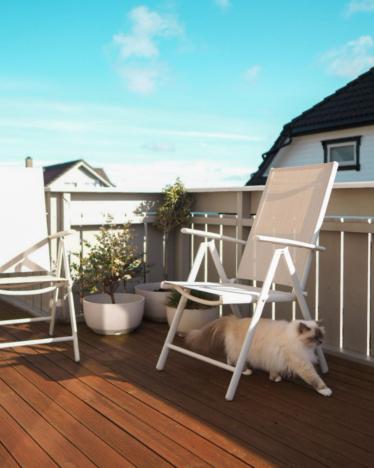 GARTENSTUHL 6er-Set Aluminium beige Catania - Beige, Metall (54/103/65cm) - Beliani