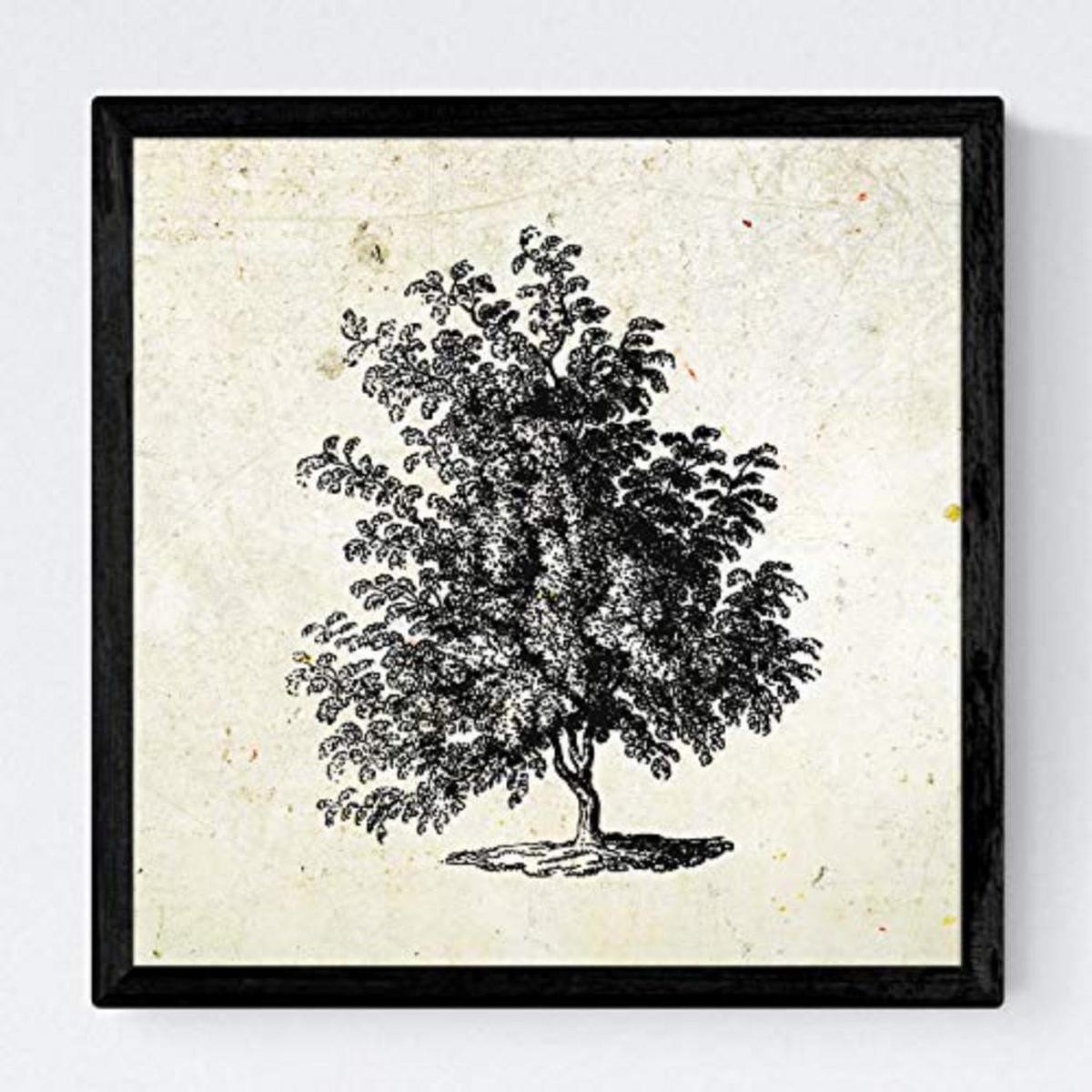 POSTER Set mit 4 Bädern Bäume miese Zweige Weinlese Altpapierhintergrund 30x30 cm Schwarzer Rahmen - Schwarz, Papier (30/3cm) - Nacnic