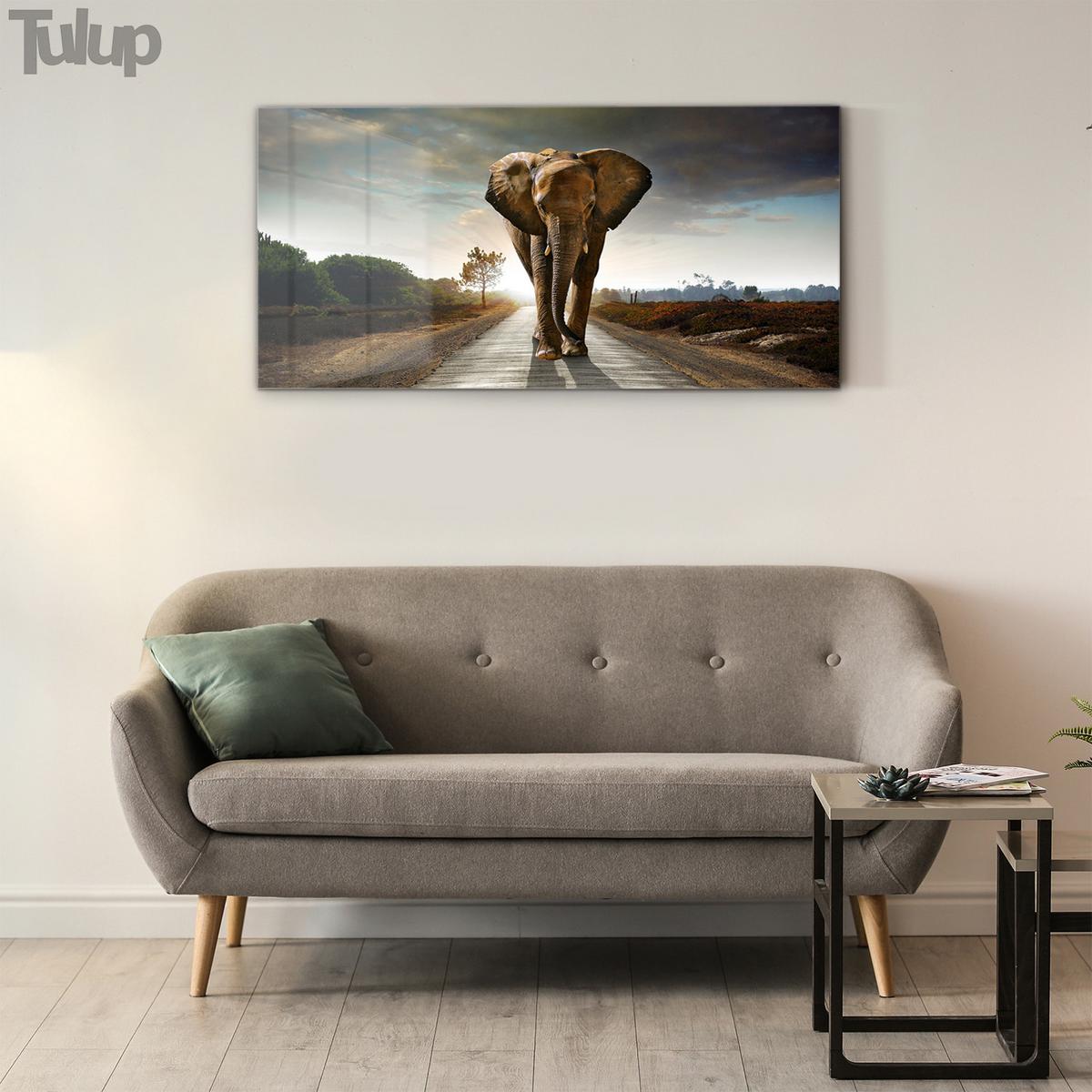 GLASBILD 140x70 cm Safari-Sonnenuntergang - Braun, Glas (140/70cm) - TULUP