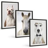 BILDER SET 3er Set - 40x60 cm Schwarzer Rahmen - Elegante Porträts von Hunden und Pferden - Schwarz, Kunststoff (40/60cm) - TULUP