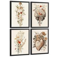 POSTER Set aus 4 Anatomie Mensch Dekorative Drucke und Wandbilder mit Blumen Ganzkörper Gehirn Hand und Herz Stil Größe Schwarzer Rahmen A4 - Schwarz, Papier (21/29.7/3cm) - Nacnic