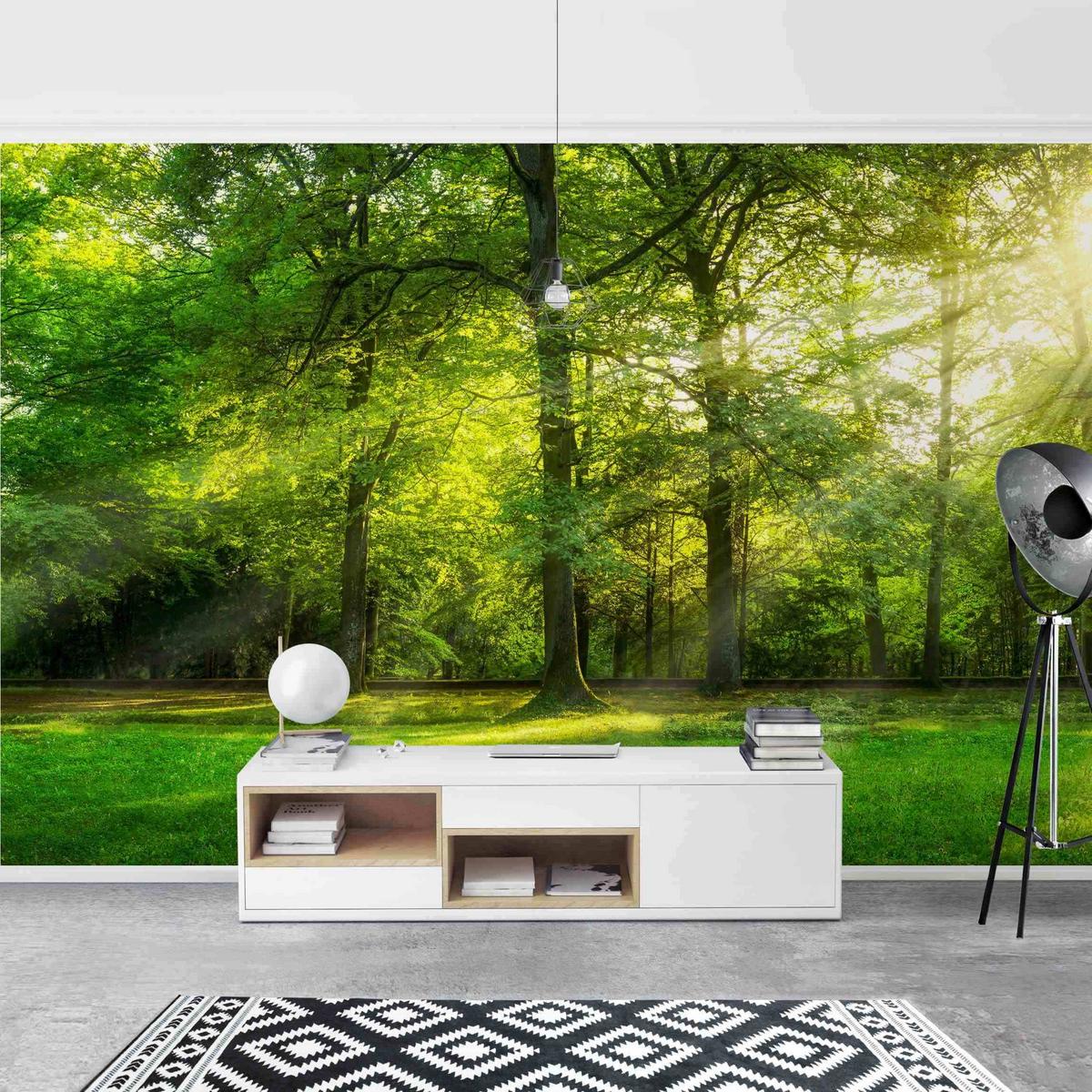 FOTOTAPETE Spaziergang im Wald 432/290 cm - Grün, Papier (432/290cm) - Bilderwelten