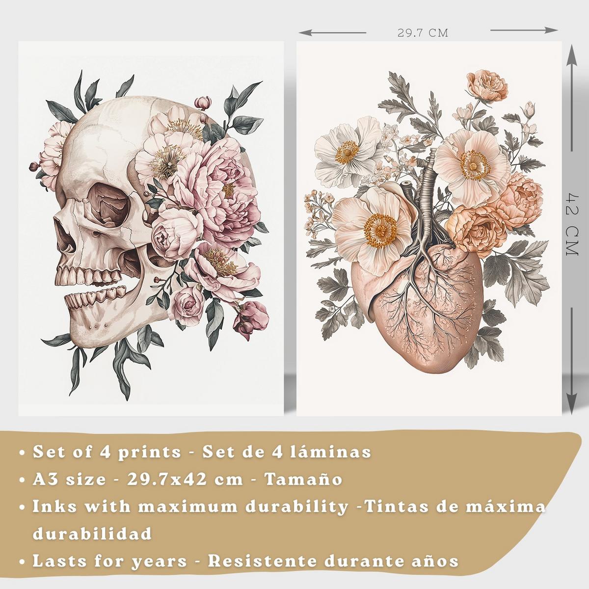 POSTER Set aus 4 Anatomie Mensch Florale Drucke und mit Schädel Herz Lungen und Skelett Botanische Aquarell dekoration Größe Leichter Holzrahmen A3 - Beige, Papier (29.7/42/3cm) - Nacnic