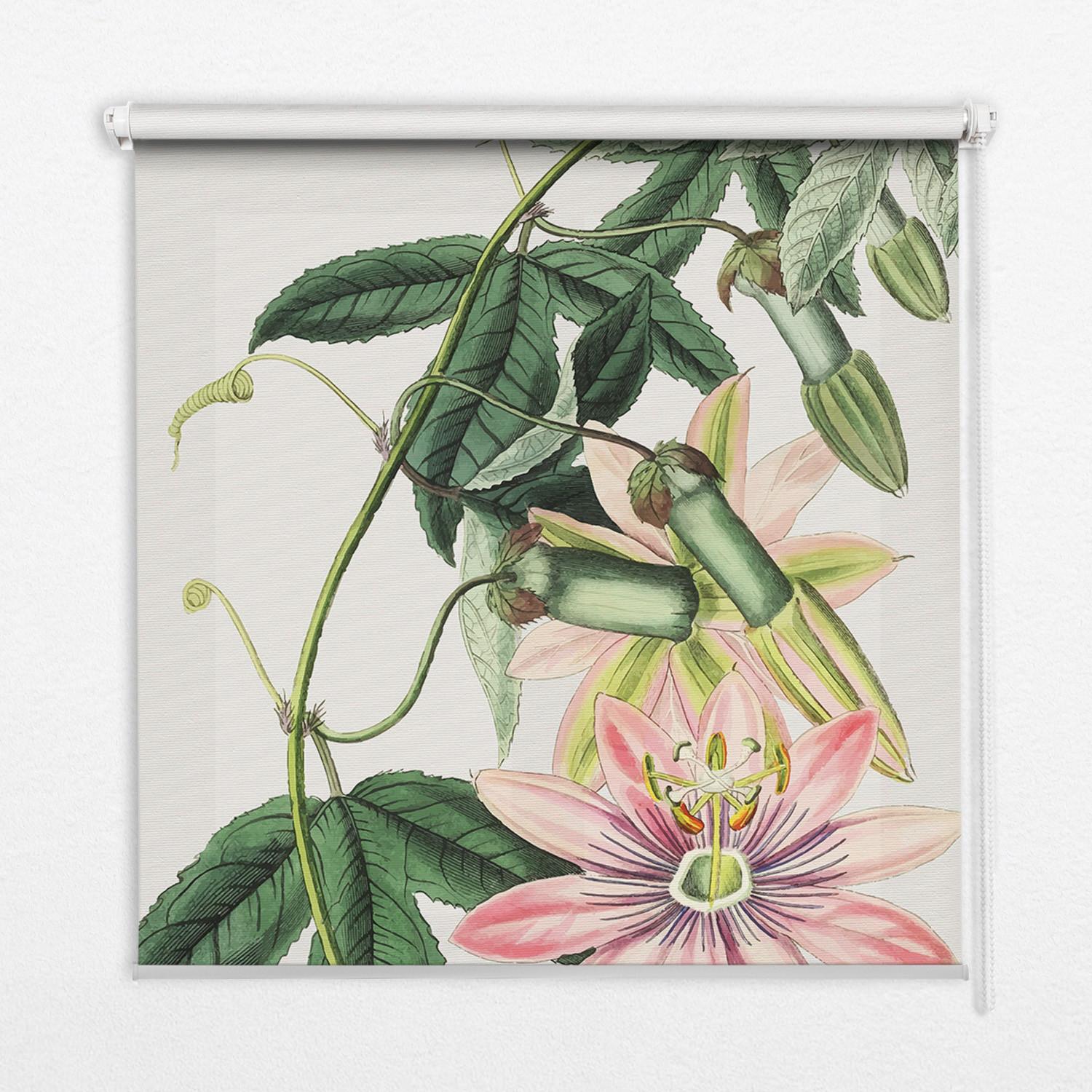 INNENROLLO - Fensterrollo - Rollo - 60x40 cm - Rosa Blume - Grau, Kunststoff (60/140/0.5cm) - TULUP