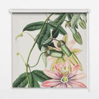 INNENROLLO - Fensterrollo - Rollo - 90x140 cm - Rosa Blume - Grau, Kunststoff (90/140/0.5cm) - TULUP
