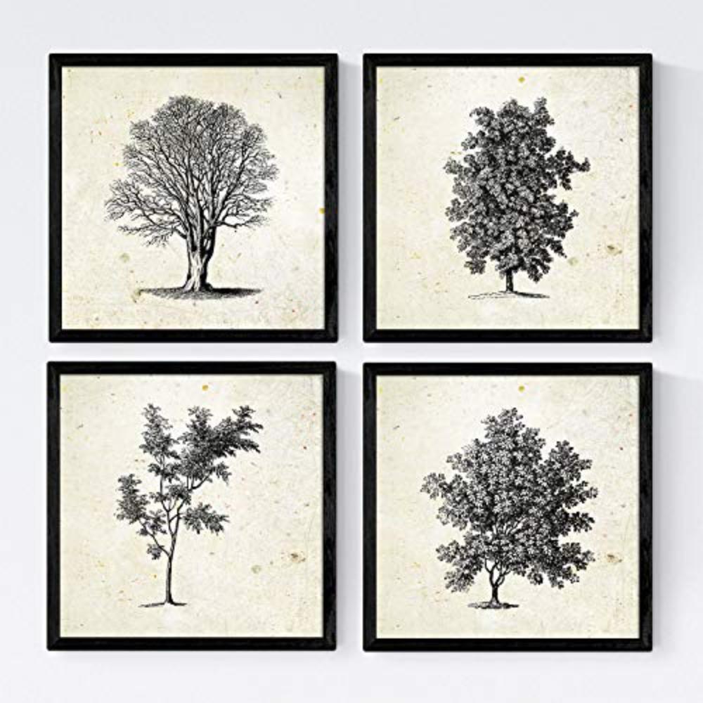 POSTER Set mit 4 Blättern der Bäume ohne und mit Blatt, 20x20cm Schwarzer Rahmen - Schwarz, Papier (20/3cm) - Nacnic