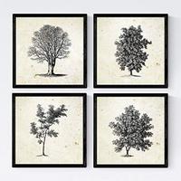 POSTER Set mit 4 Blättern der Bäume ohne und mit Blatt, 20x20cm Schwarzer Rahmen - Schwarz, Papier (20/3cm) - Nacnic