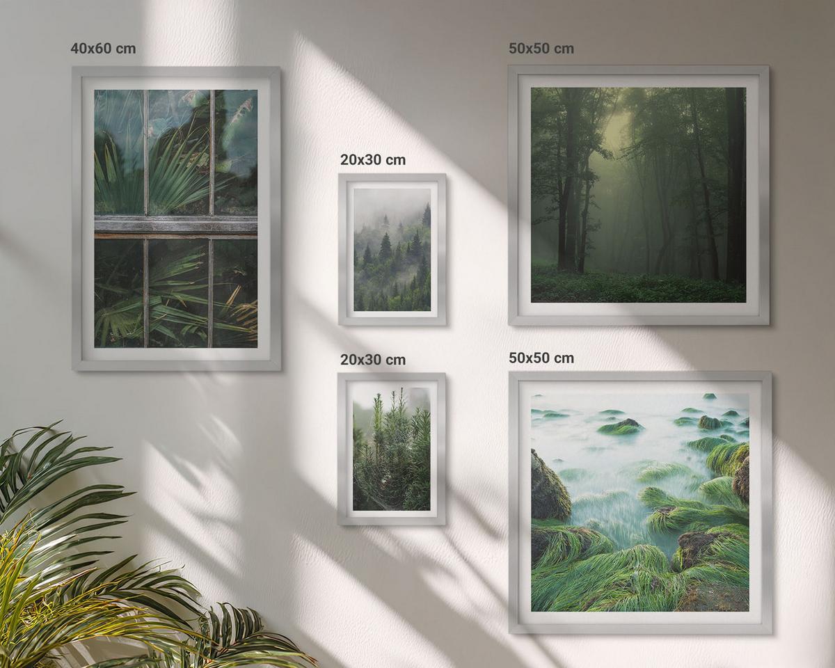 BILDER SET 5er Set - 50x50 cm & 20x30 cm & 40x60 cm Silberner Rahmen - Nahaufnahmen von Blättern sukkulenter Pflanzen - Silberfarben, Kunststoff (40/60cm) - TULUP