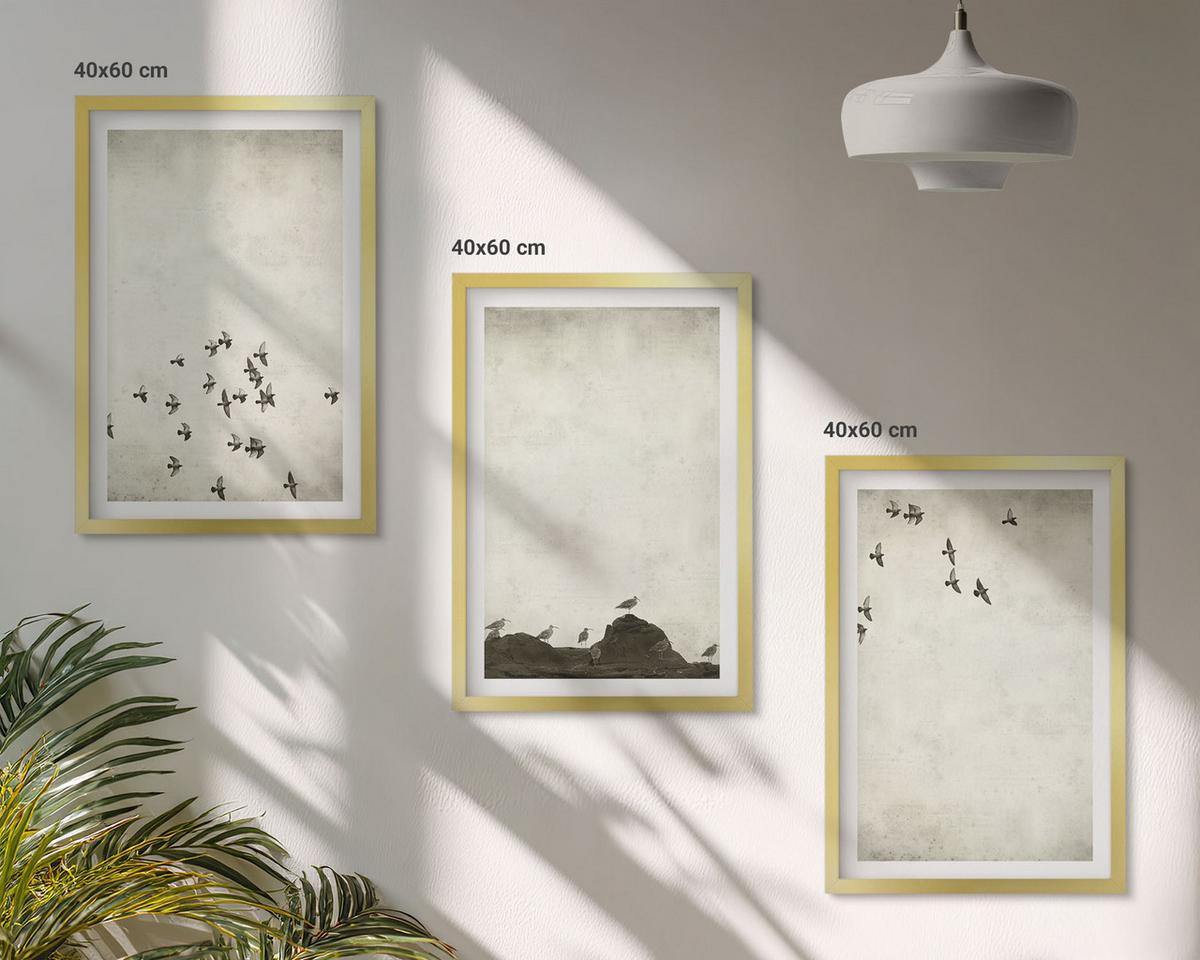 BILDER SET 3er Set - 40x60 cm Goldrahmen - Vögel im Flug, minimalistischer Stil - Goldfarben, Kunststoff (40/60cm) - TULUP