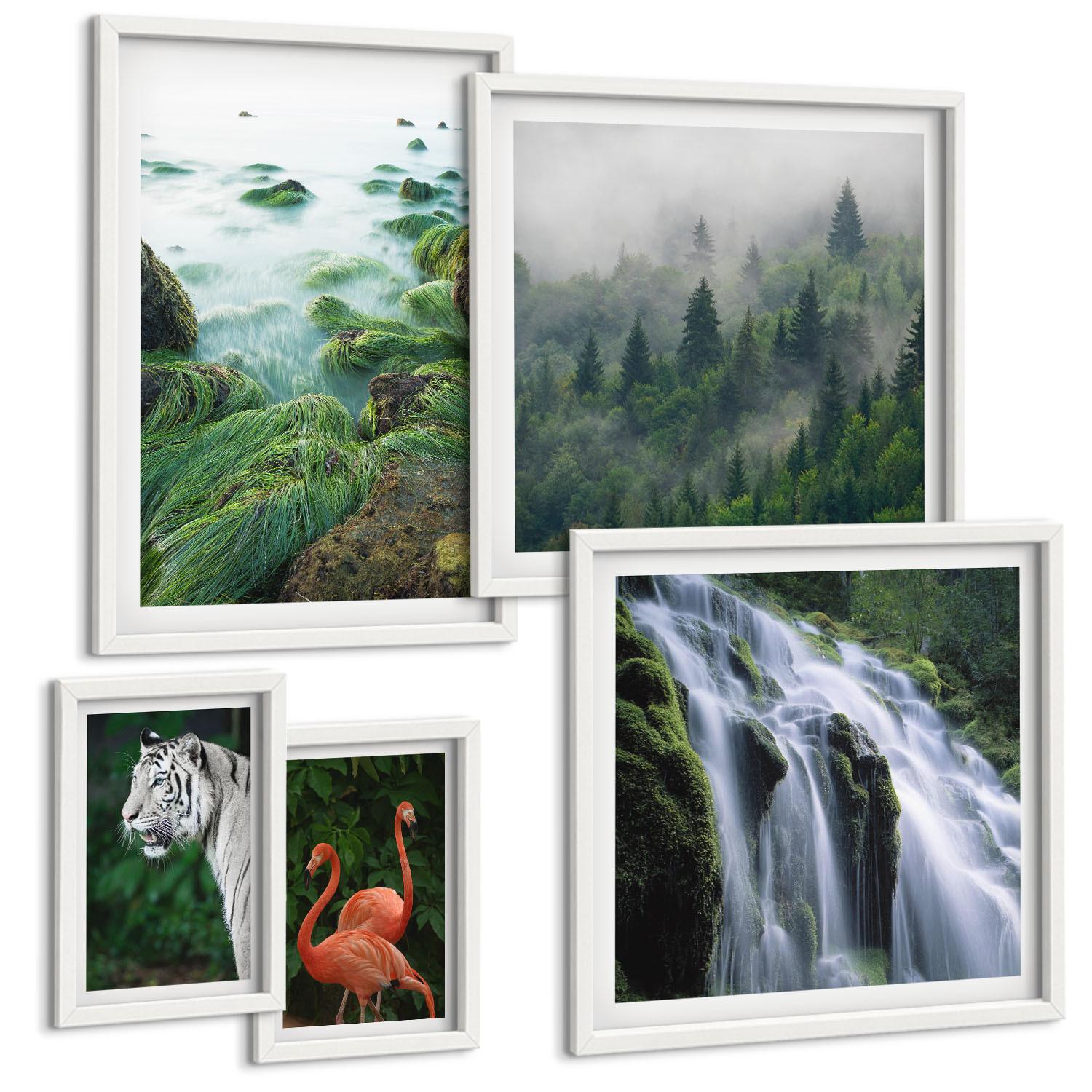 BILDER SET 5er Set - 50x50 cm & 20x30 cm & 40x60 cm Weißer Rahmen - Tiger Wasserfall Flamingos Natur - Weiß, Kunststoff (40/60cm) - TULUP