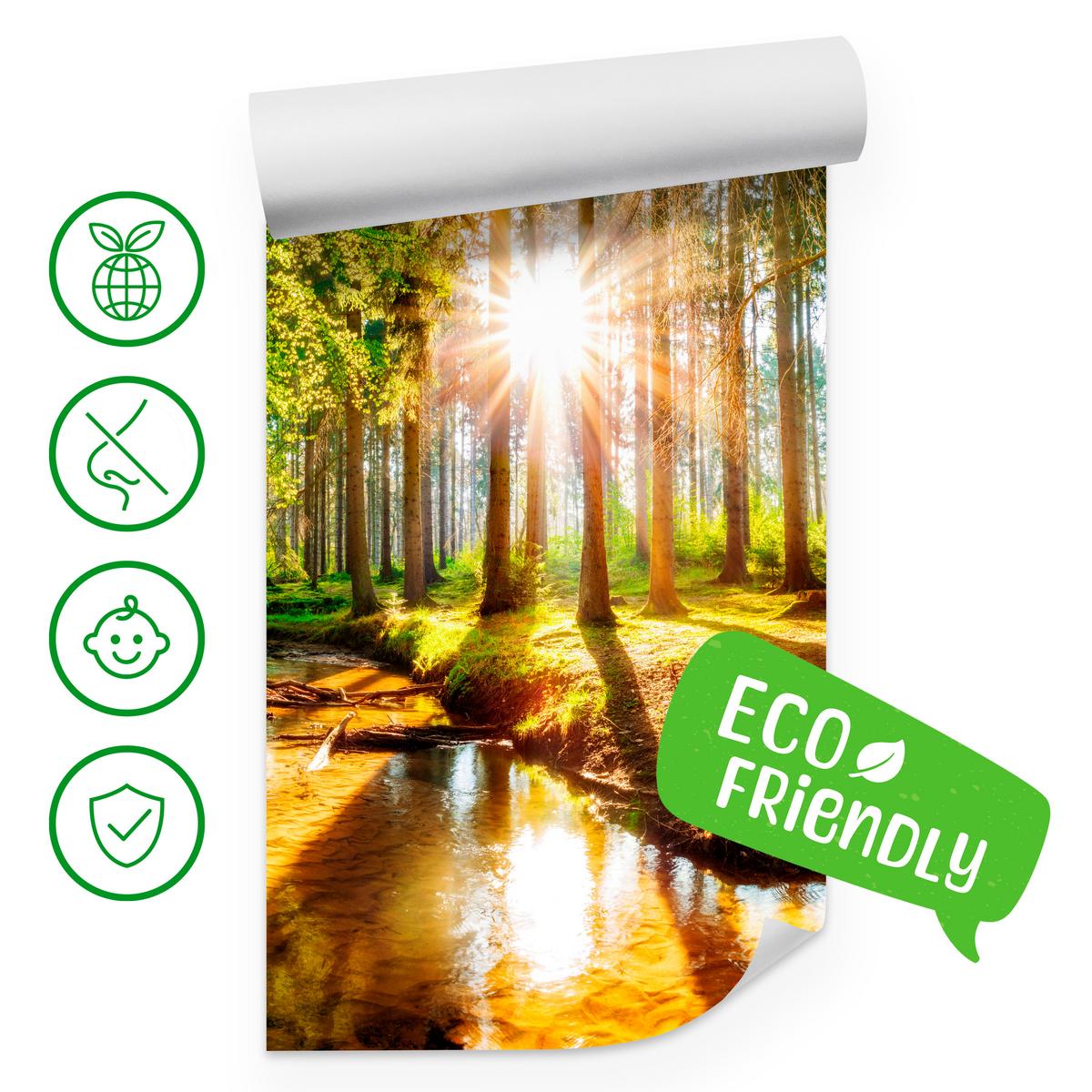 FOTOTAPETE für Wohnzimmer Pflanzen Natur Gras Sonniger Wald Bäume 250x175 - Multicolor, Papier (250/175cm) - Muralo