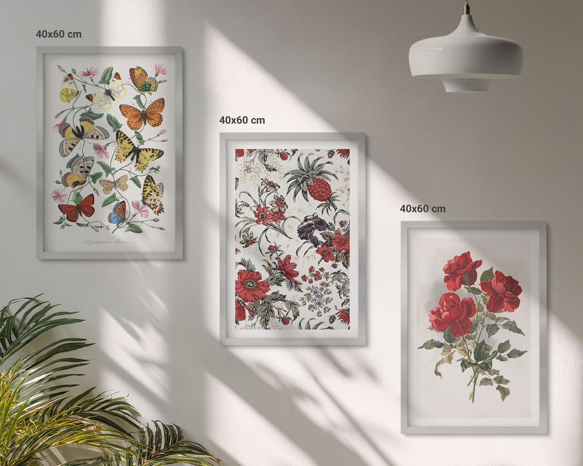 BILDER SET 3er Set - 40x60 cm Silberner Rahmen - Schmetterlinge, Blumen, rote Rosen - Silberfarben, Kunststoff (40/60cm) - TULUP