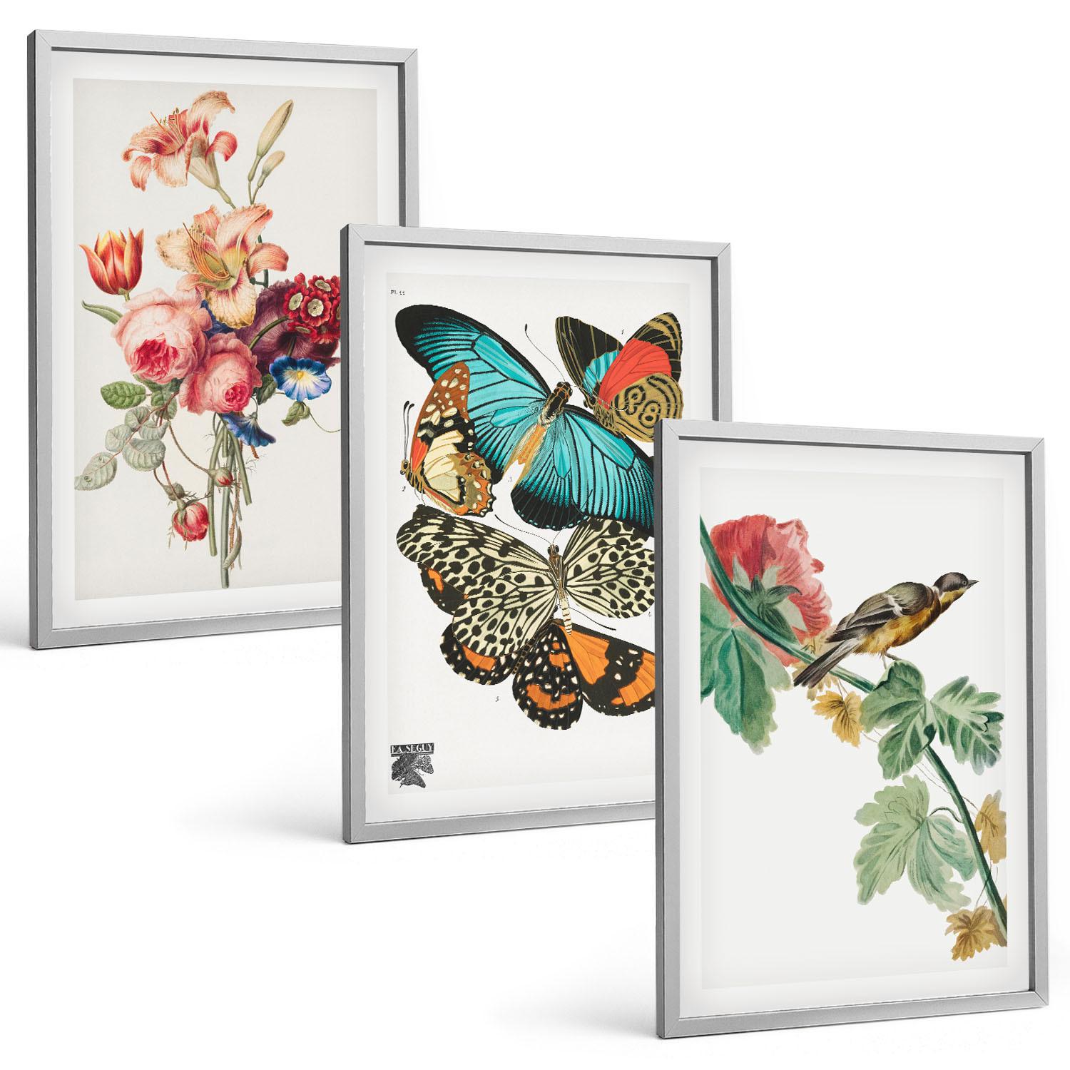BILDER SET 3er Set - 40x60 cm Silberner Rahmen - Blumen, Schmetterlinge, Vögel, Pastellfarben - Silberfarben, Kunststoff (40/60cm) - TULUP