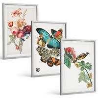 BILDER SET 3er Set - 40x60 cm Silberner Rahmen - Blumen, Schmetterlinge, Vögel, Pastellfarben - Silberfarben, Kunststoff (40/60cm) - TULUP