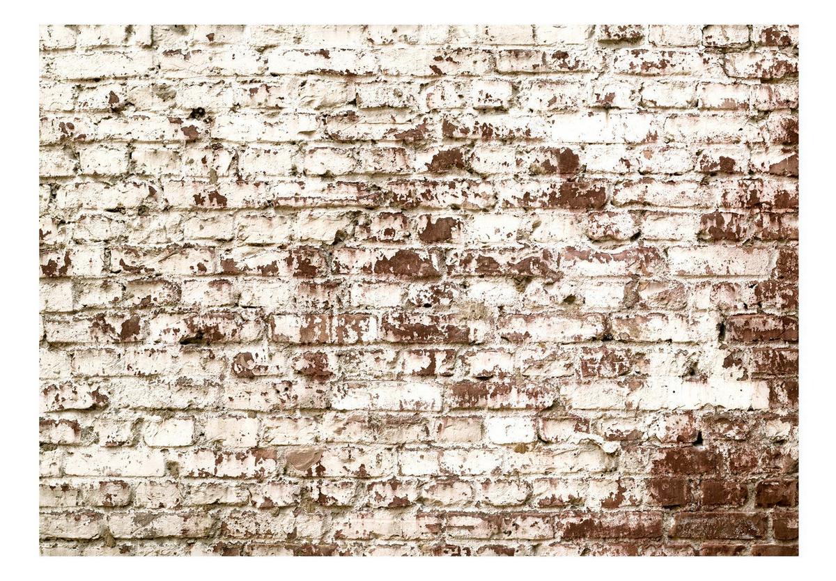 VLIESTAPETE Braun 400/280 cm - Weiß/Braun, Textil (400/1cm) - KUNSTLOFT