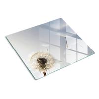 GLASPLATTE 60x52 cm Löwenzahn - Blau, Glas (60/0.4/52cm) - TULUP
