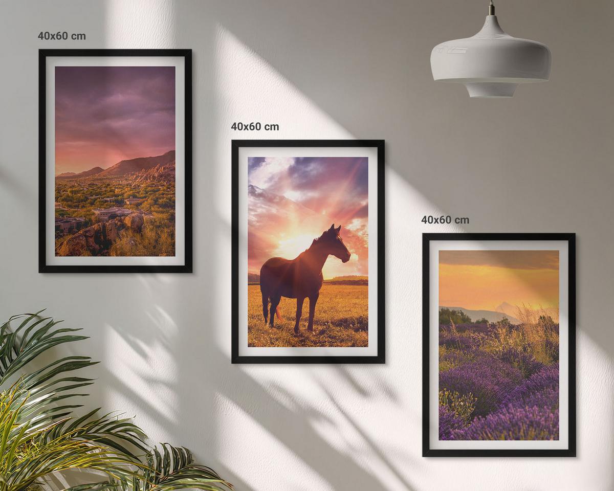 BILDER SET 3er Set - 40x60 cm Schwarzer Rahmen - Berglandschaft mit einem Pferd - Schwarz, Kunststoff (40/60cm) - TULUP