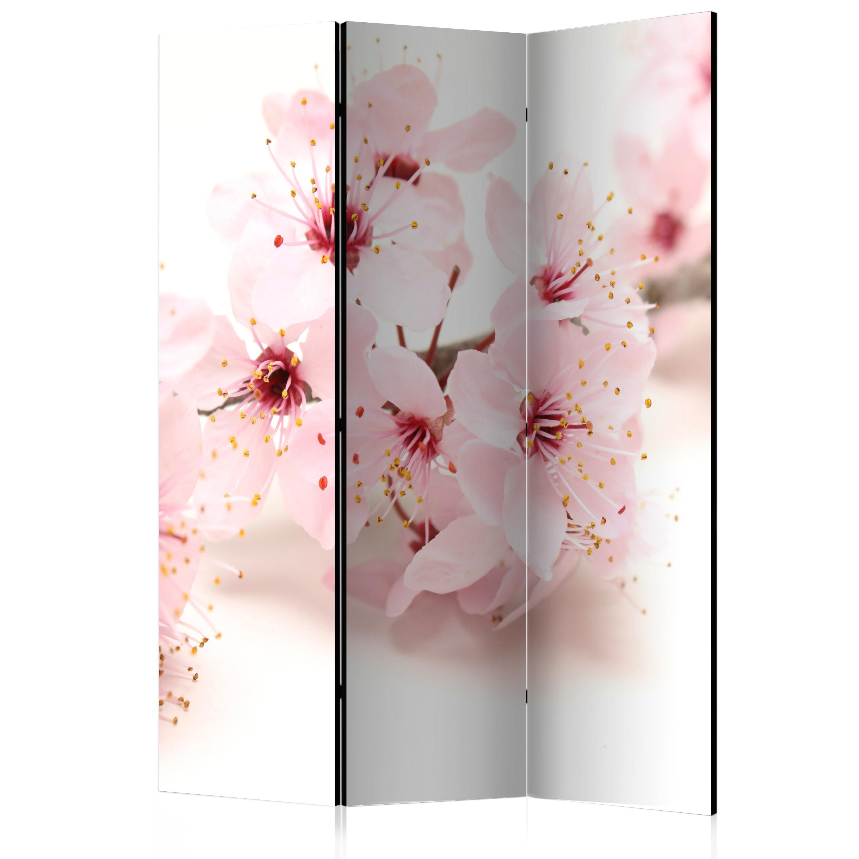 PARAVENT Einseitig Bedruckter 3-tlg 135x172 cm Kirschbl ten Natur - Rosa, Holz/Textil (135/172/3cm) - Muralo