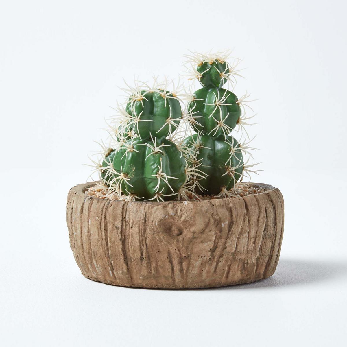 KUNSTPFLANZEN Kakteen in Holzoptik-Schale, 15 cm - Grün, Kunststoff (15cm) - Homescapes