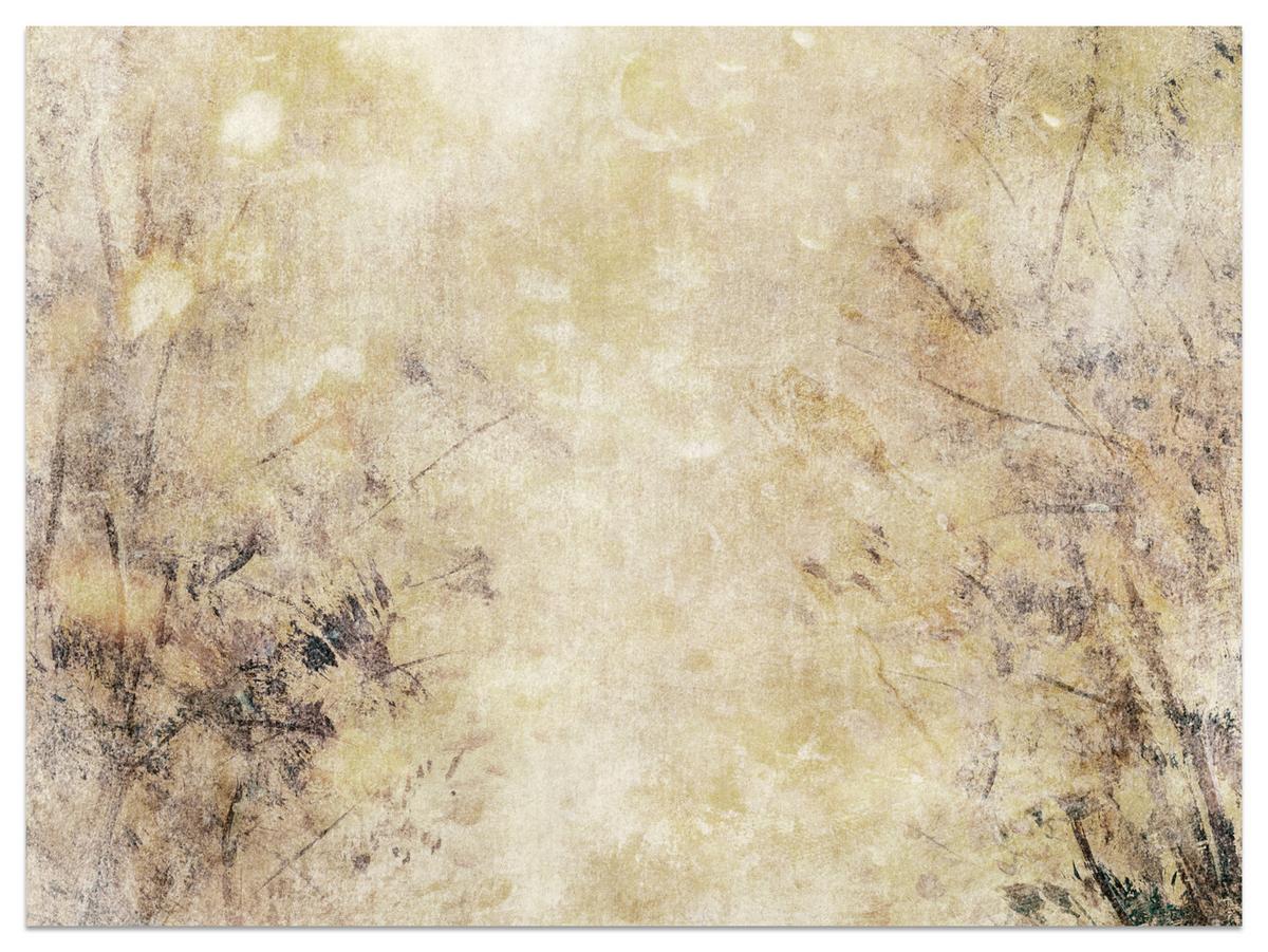 FOTOTAPETE Beton Abstraktion Retro Stil 300x210 - Beige/Braun, Papier (300/210cm) - Muralo