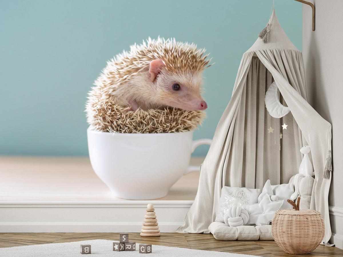 FOTOTAPETE für Esszimmer Igel Weiße Tasse Süß Tier 100x70 - Beige/Weiß, Papier (100/70cm) - Muralo