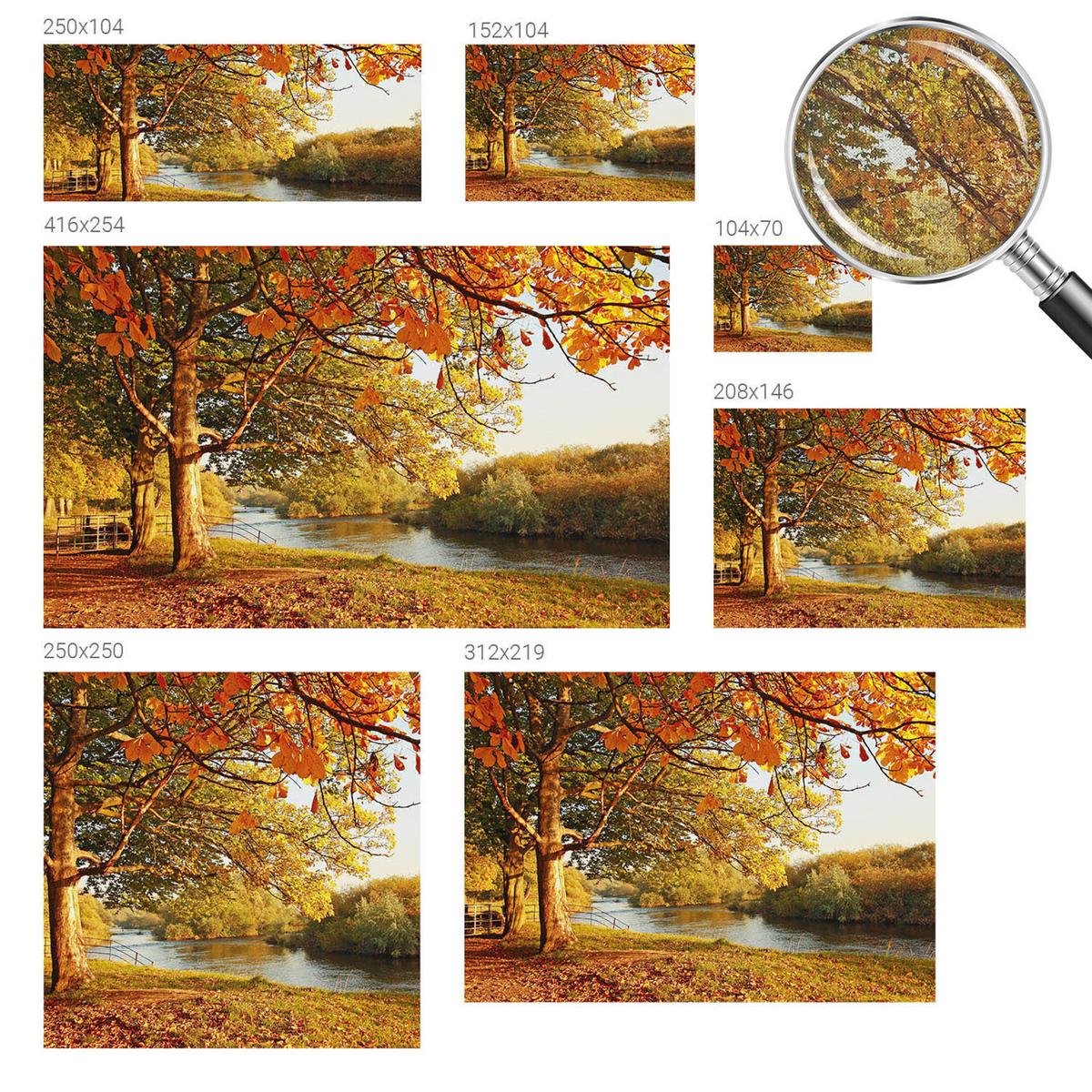 FOTOTAPETE 312x219 cm - Küstenherbst - Gelb, Textil (312/219cm) - Wallfluent