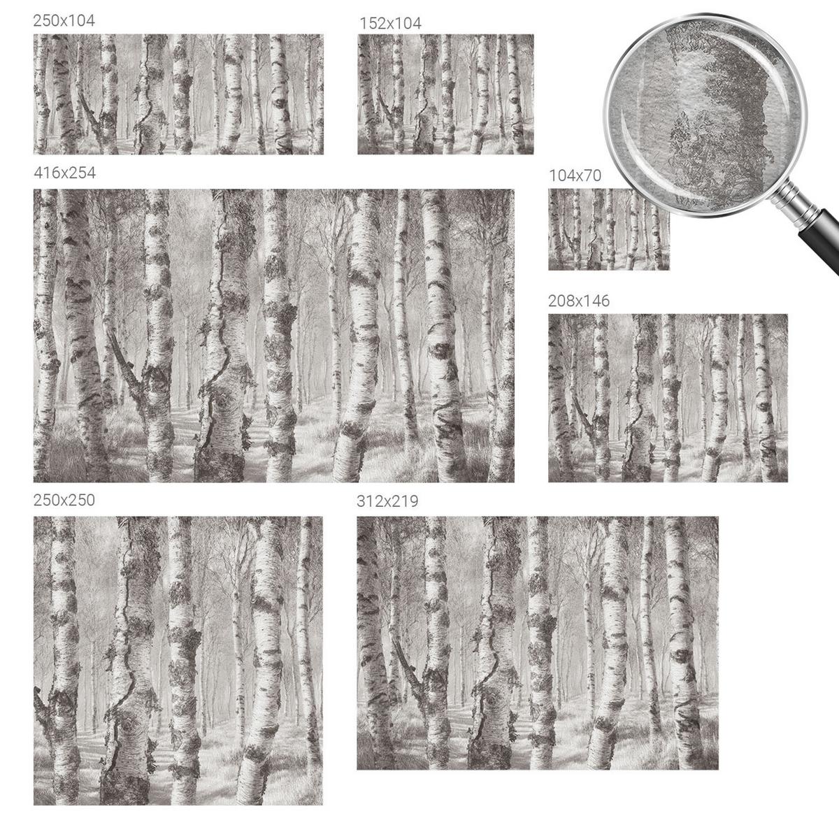 FOTOTAPETE 152x104 cm - Birkenwald - Schwarz, Textil (152/104cm) - Wallfluent
