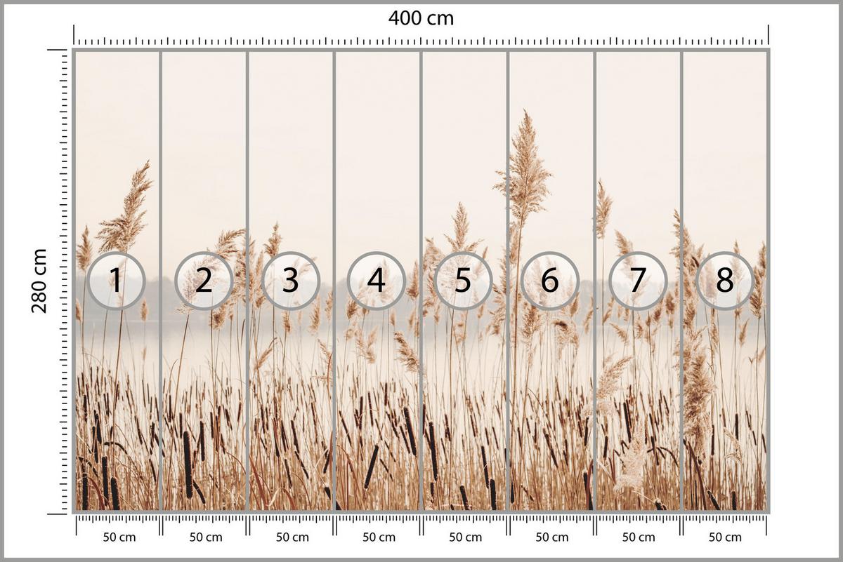 FOTOTAPETE für Wohnzimmer Pflanzen Natur 400x280 - Beige/Braun, Papier (400/280cm) - Muralo