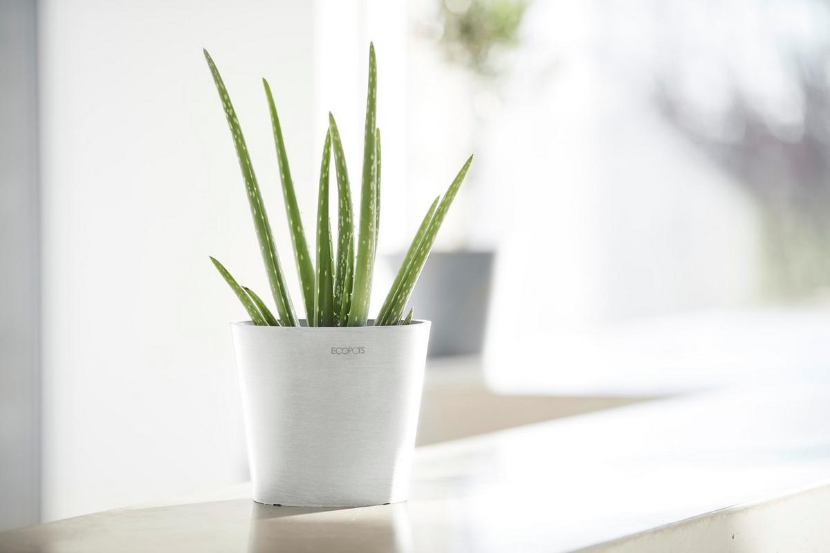 BLUMENTOPF Amsterdam 17/14,7 cm Weiß - Weiß, Kunststoff (17/14.7cm) - Ecopots