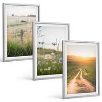 BILDER SET 3er Set - 40x60 cm Silberner Rahmen - Landschaften Natur Felder Weg - Silberfarben, Kunststoff (40/60cm) - TULUP