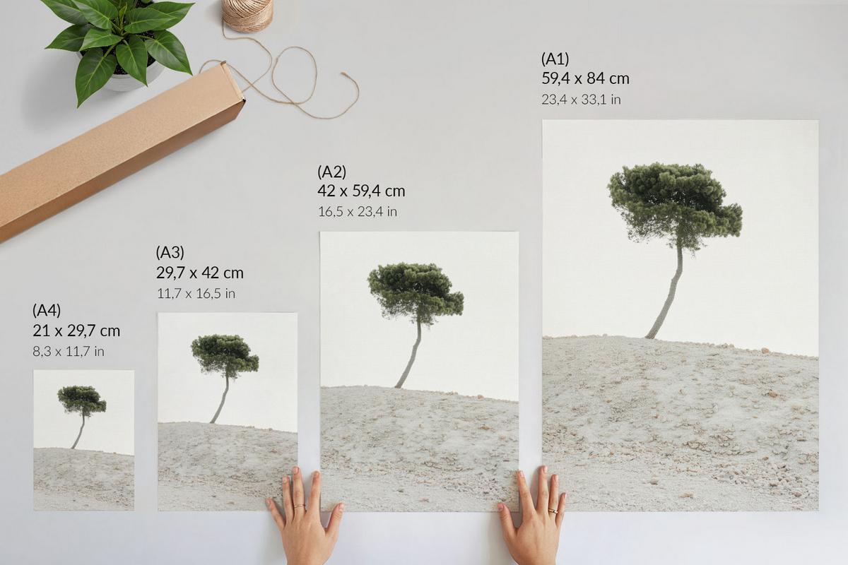 POSTER - 29x42 cm - X-Mario - Einsamer Baum - Weiß, Textil (29/42/0.1cm) - TULUP