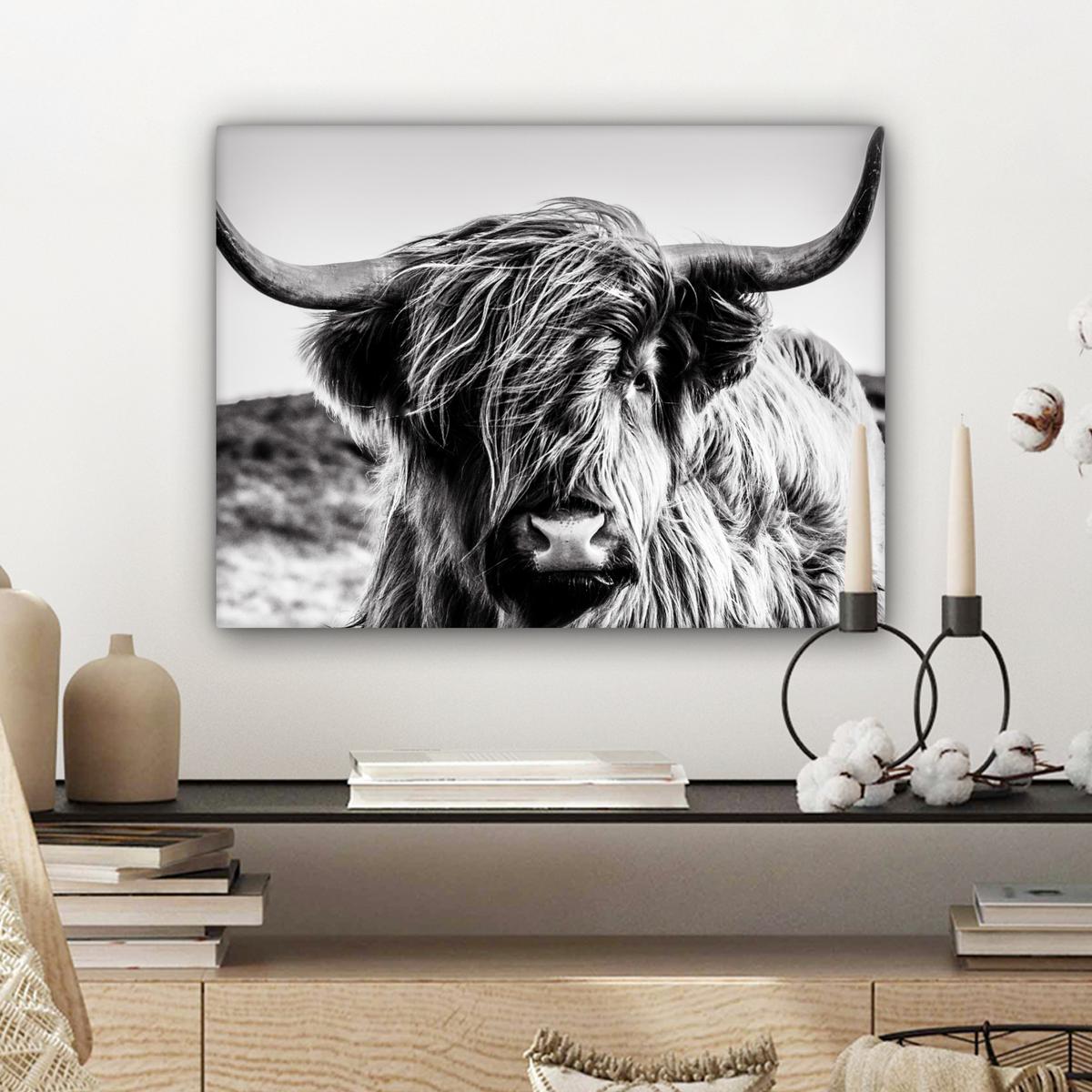 LEINWANDBILD Kuh - Schottischer Hochländer - Schwarz - Weiß - Tier - Natur - Wildtiere Wandbild 40x30 cm - Schwarz, Textil (40/30cm) - MuchoWow