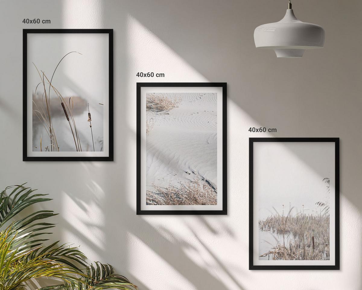 BILDER SET 3er Set - 40x60 cm Schwarzer Rahmen - Wasserpflanzen im Sommer - Schwarz, Kunststoff (40/60cm) - TULUP