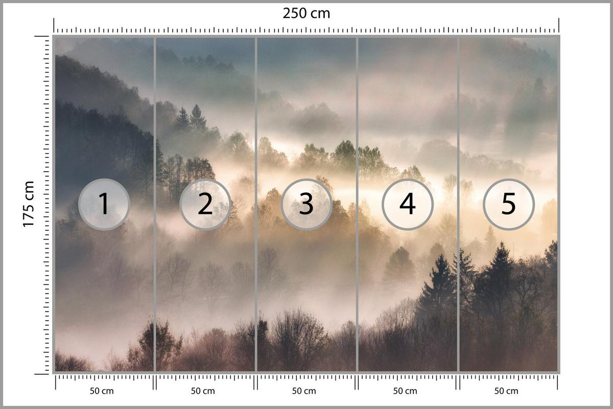 FOTOTAPETE für Wohnzimmer Natur Nebeliger Wald Sonnenaufgang Gebirge 250x175 - Gelb/Creme, Papier (250/175cm) - Muralo