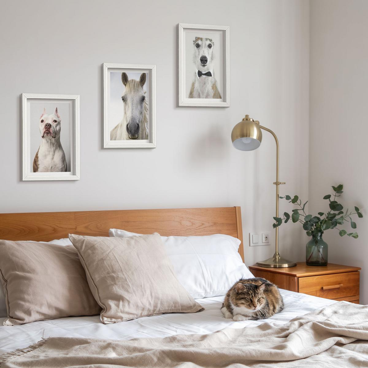 BILDER SET 3er Set - 20x30 cm Weißer Rahmen - Elegante Porträts von Hunden und Pferden - Weiß, Kunststoff (20/30cm) - TULUP